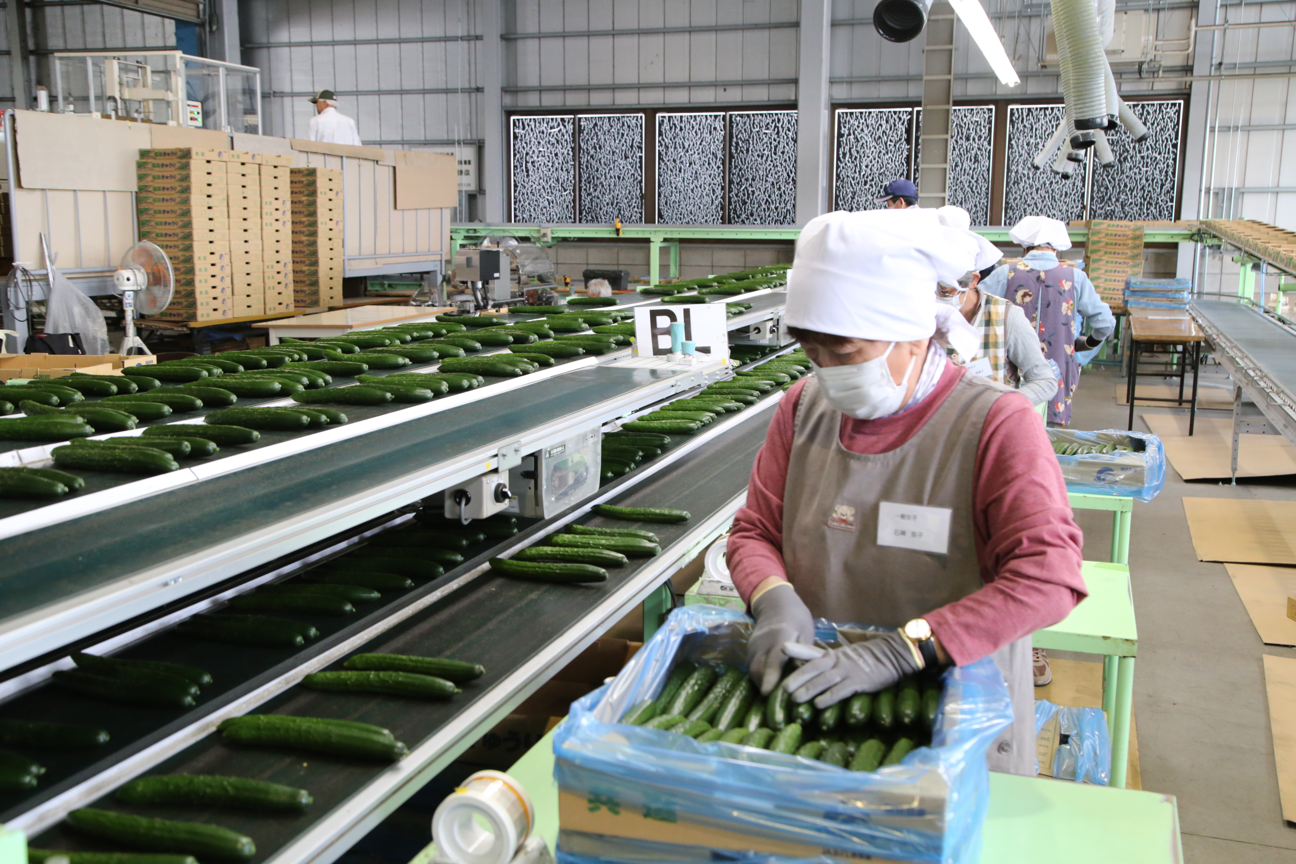 トピックス | JAふくしま未来